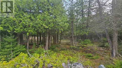 Lt 254 Pl 433 Dorcas Bay Road, Northern Bruce Peninsula, ON 