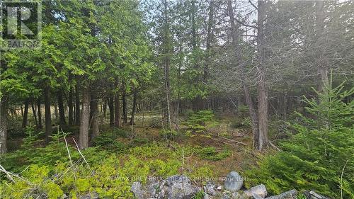 Lt 254 Pl 433 Dorcas Bay Road, Northern Bruce Peninsula, ON 