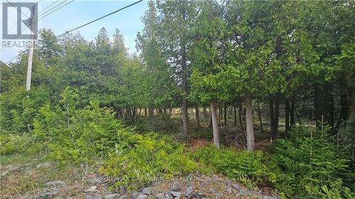 Lt 254 Pl 433 Dorcas Bay Road, Northern Bruce Peninsula, ON 