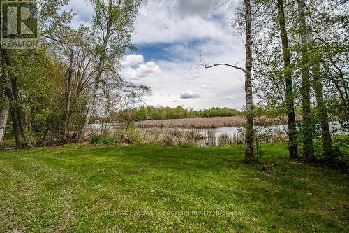 662 Robel Drive, Smith-Ennismore-Lakefield, ON - Outdoor With View