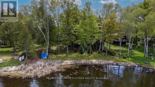 662 Robel Drive, Smith-Ennismore-Lakefield, ON - Outdoor With Body Of Water With View
