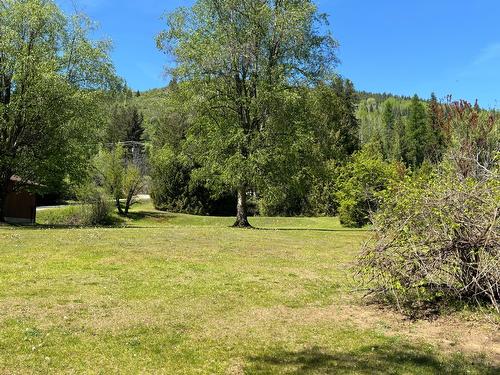 1374&1380 Highway 3B, Montrose, BC - Outdoor With View
