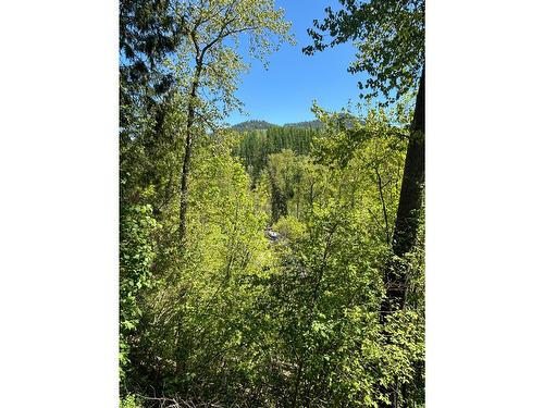 1374&1380 Highway 3B, Montrose, BC - Outdoor With View
