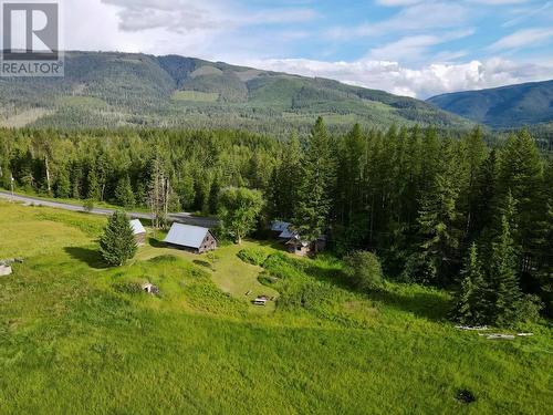 619 North Fork Road, Cherryville, BC - Outdoor With View