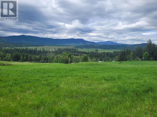 619 North Fork Road, Cherryville, BC - Outdoor With View