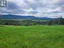 619 North Fork Road, Cherryville, BC  - Outdoor With View 