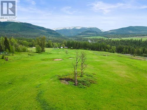 619 North Fork Road, Cherryville, BC - Outdoor With View