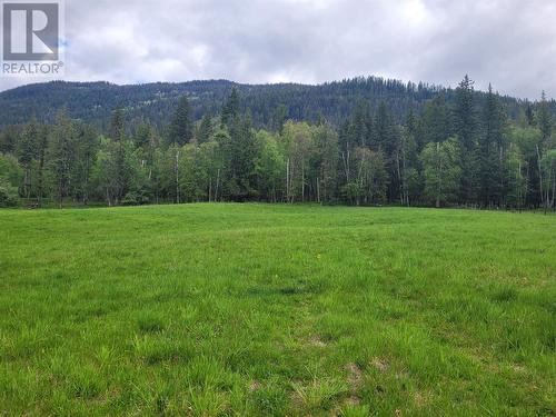 619 North Fork Road, Cherryville, BC - Outdoor With View