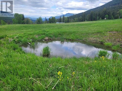 619 North Fork Road, Cherryville, BC - Outdoor With View