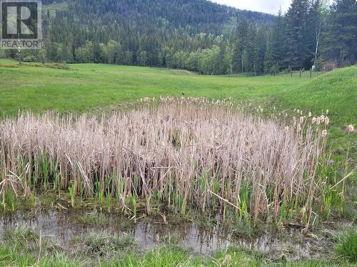 619 North Fork Road, Cherryville, BC - Outdoor With View