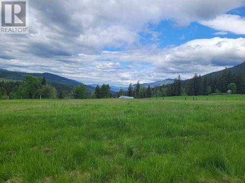 619 North Fork Road, Cherryville, BC - Outdoor With View