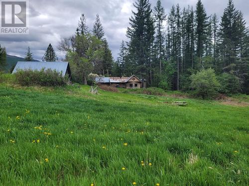 619 North Fork Road, Cherryville, BC - Outdoor With View