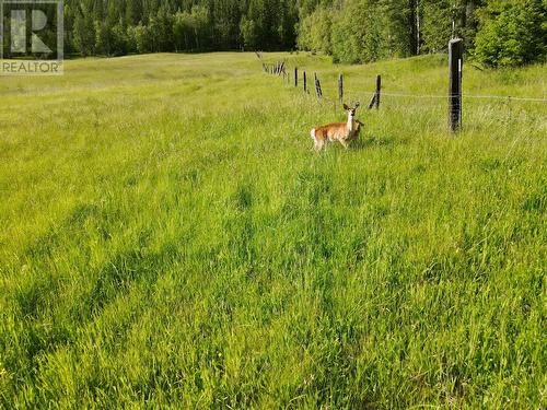 619 North Fork Road, Cherryville, BC - Outdoor With View