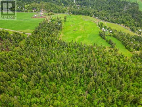 619 North Fork Road, Cherryville, BC - Outdoor With View