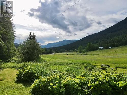 619 North Fork Road, Cherryville, BC - Outdoor With View