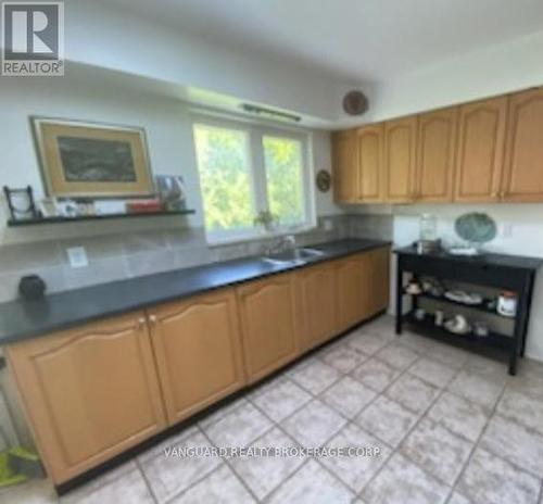 4233 Line 2, Bradford West Gwillimbury, ON - Indoor Photo Showing Kitchen With Double Sink