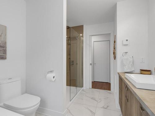 Bathroom - 133 Rue Du Lac-Rinfret, Saint-Colomban, QC - Indoor Photo Showing Bathroom