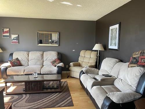 514 Ryerson Crescent, Thunder Bay, ON - Indoor Photo Showing Living Room