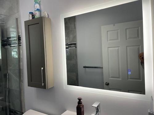 514 Ryerson Crescent, Thunder Bay, ON - Indoor Photo Showing Bathroom