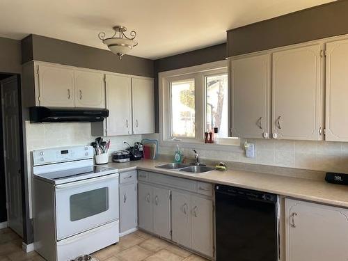 514 Ryerson Crescent, Thunder Bay, ON - Indoor Photo Showing Kitchen With Double Sink