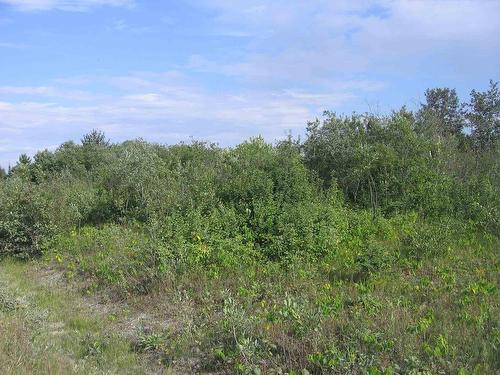75.5 Acres Leitch Twp, Leitch Township Town Of Cochrane, ON 