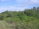 75.5 Acres Leitch Twp, Leitch Township Town Of Cochrane, ON 