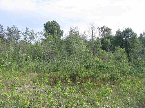 75.5 Acres Leitch Twp, Leitch Township Town Of Cochrane, ON 