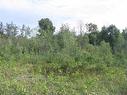 75.5 Acres Leitch Twp, Leitch Township Town Of Cochrane, ON 