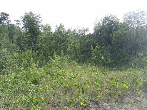 75.5 Acres Leitch Twp, Leitch Township Town Of Cochrane, ON 