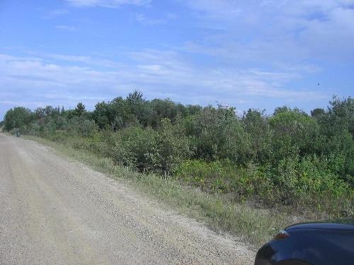 75.5 Acres Leitch Twp, Leitch Township Town Of Cochrane, ON 