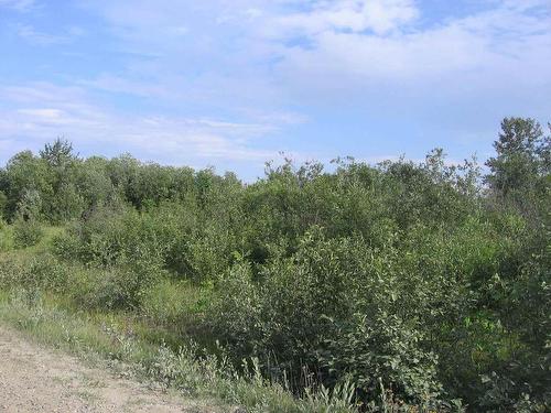 75.5 Acres Leitch Twp, Leitch Township Town Of Cochrane, ON 