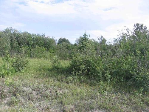 75.5 Acres Leitch Twp, Leitch Township Town Of Cochrane, ON 