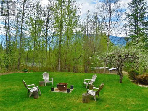 4000 Mountain View Road, Mcbride, BC - Outdoor With Backyard