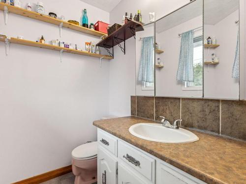 Salle de bains - 12 Rue Mcnamara, Gatineau (Masson-Angers), QC - Indoor Photo Showing Bathroom
