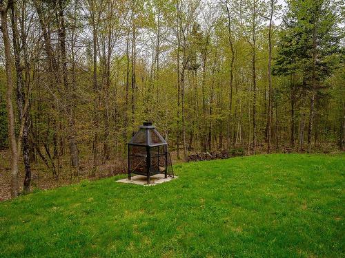 Backyard - 58 Ch. Du Fort, Saint-Hippolyte, QC - Outdoor