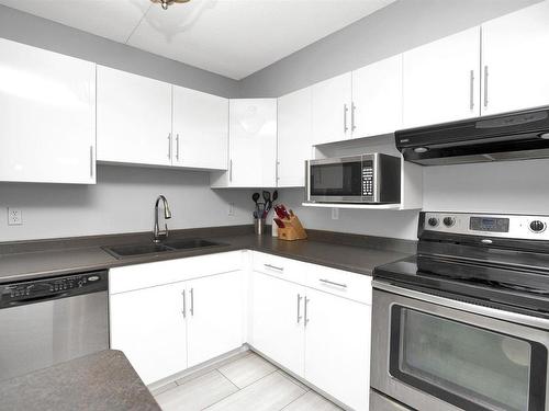 118 500 Toledo Street, Thunder Bay, ON - Indoor Photo Showing Kitchen With Double Sink