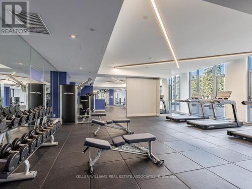 216 - 293 The Kingsway, Toronto, ON - Indoor Photo Showing Gym Room