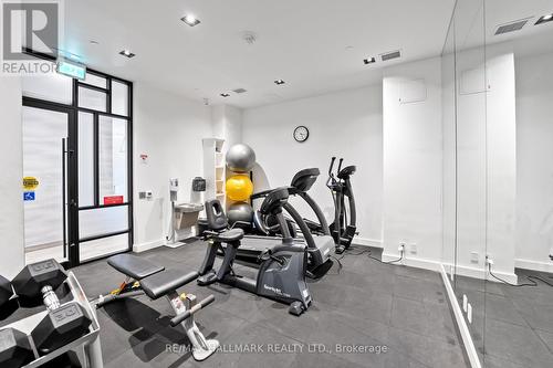 507 - 1630 Queen Street E, Toronto, ON - Indoor Photo Showing Gym Room