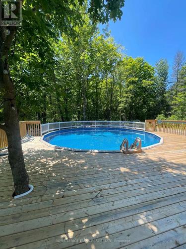 353 Jarvis Road, Madoc, ON - Outdoor With Above Ground Pool