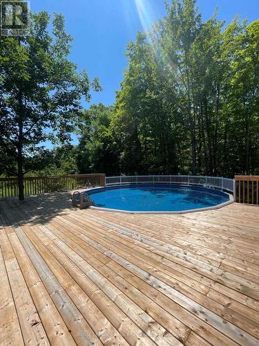 353 Jarvis Road, Madoc, ON - Outdoor With Above Ground Pool With Deck Patio Veranda With Backyard