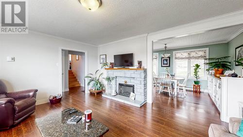 53 Northside Road, Holyrood, NL - Indoor Photo Showing Living Room With Fireplace