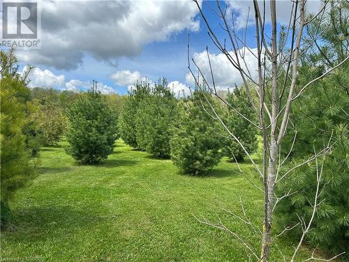174088 Mulock Road, West Grey, ON - Outdoor With View