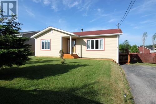 8 Wallace Place, Deer Lake, NL - Outdoor