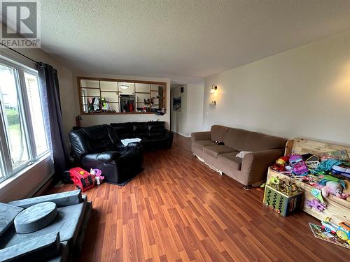 8 Wallace Place, Deer Lake, NL - Indoor Photo Showing Living Room