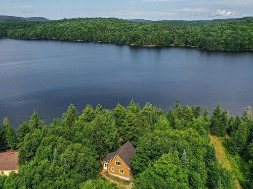 Photo aÃ©rienne - 320 Ch. Du Prospecteur, Amherst, QC - Outdoor With Body Of Water With View