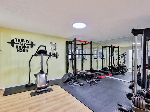 Playroom - 213 Rue Glen, Rosemère, QC - Indoor Photo Showing Gym Room