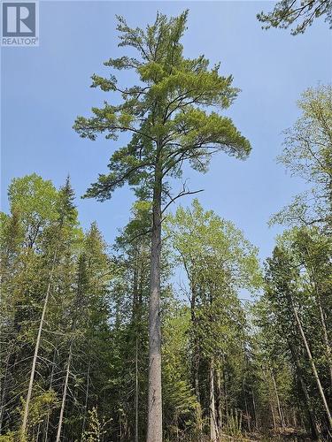 Lot 2 Sandy Point Rd, Assiginack, Manitoulin Island, ON 