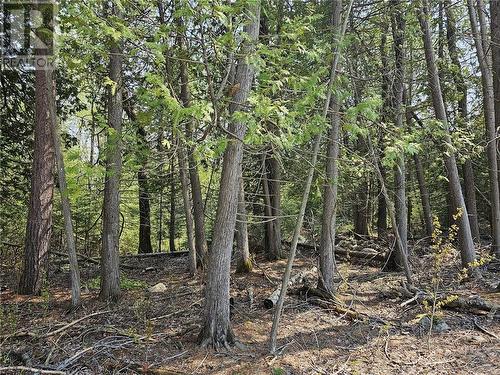 Lot 2 Sandy Point Rd, Assiginack, Manitoulin Island, ON 