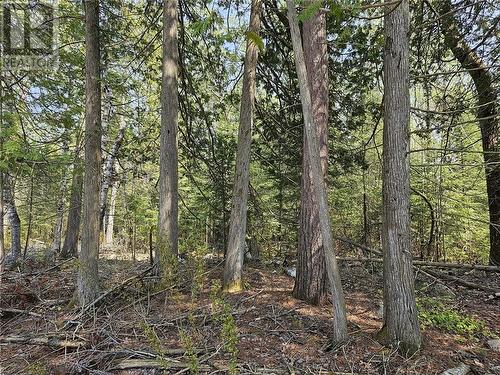 Lot 2 Sandy Point Rd, Assiginack, Manitoulin Island, ON 