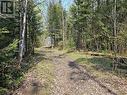 Lot 49 Sandy Point Road, Assiginack, Manitoulin Island, ON 